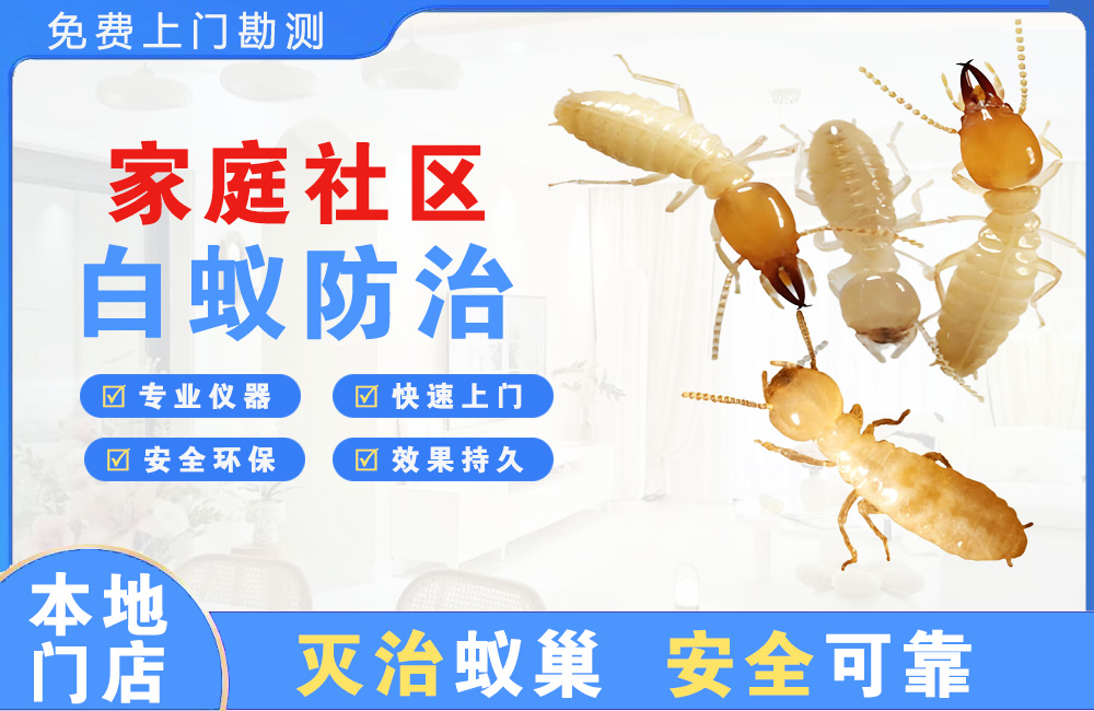 金湖家庭社区白蚁防治