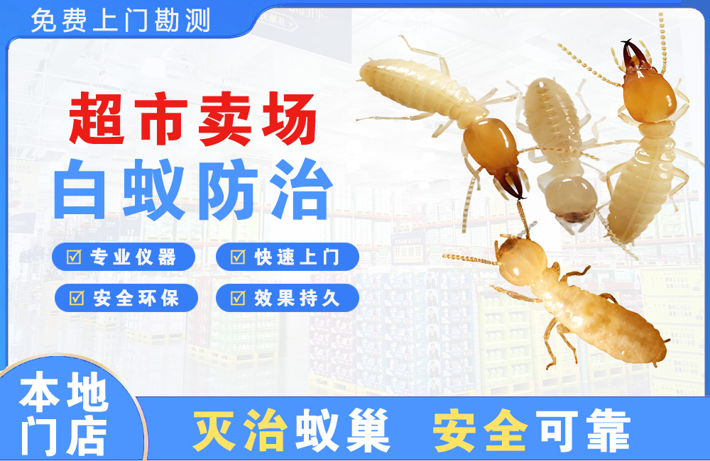 金湖超市卖场白蚁防治