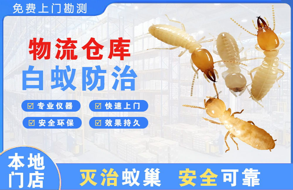金湖物流仓库白蚁防治