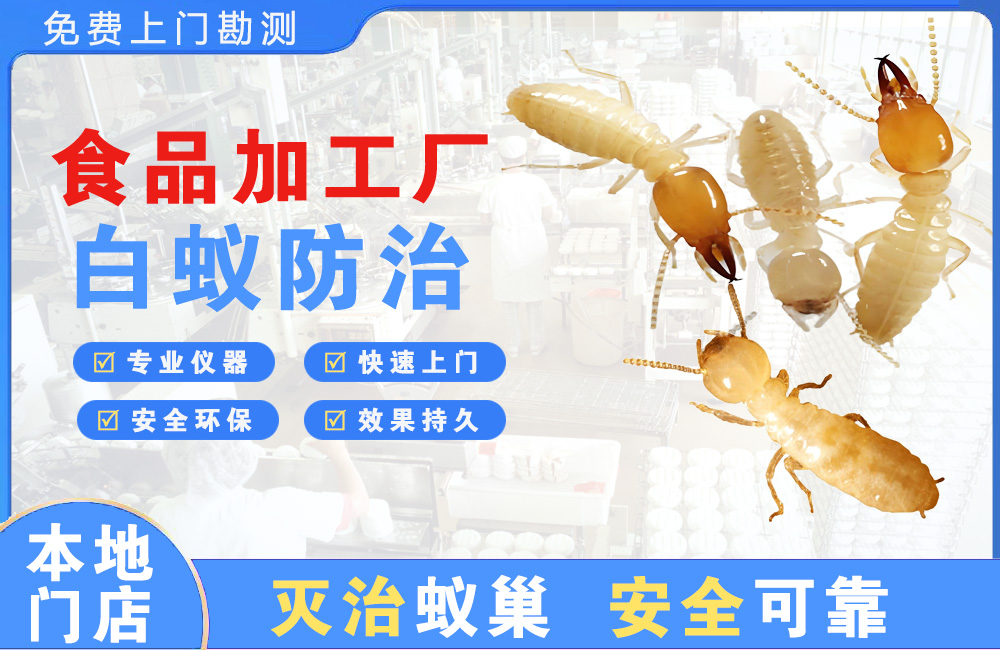金湖食品加工厂白蚁防治