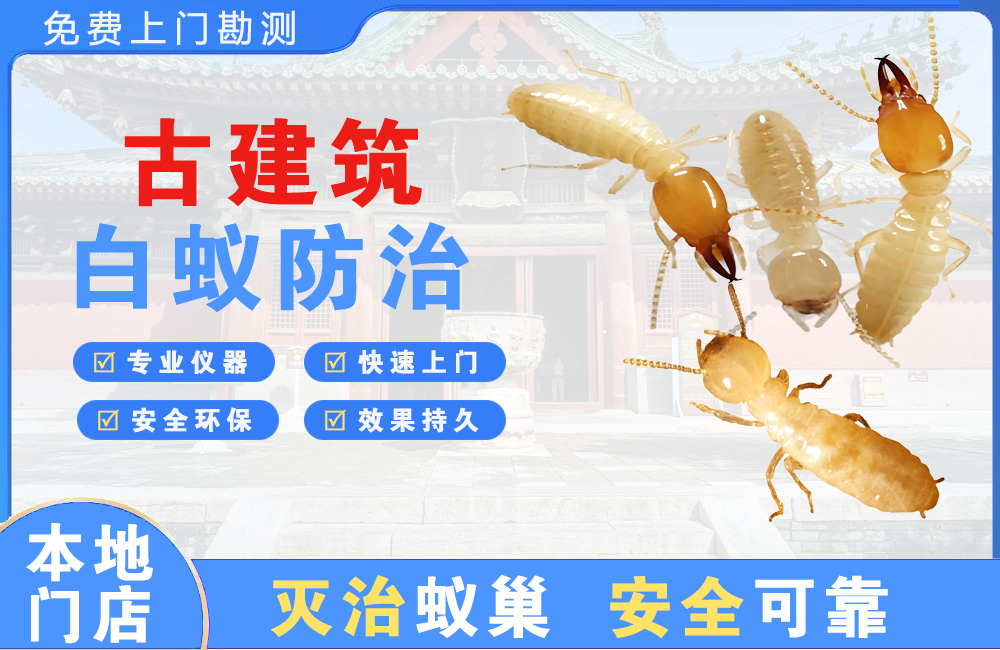 金湖古建筑白蚁防治