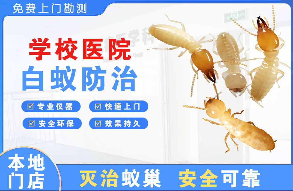 金湖学校医院白蚁防治