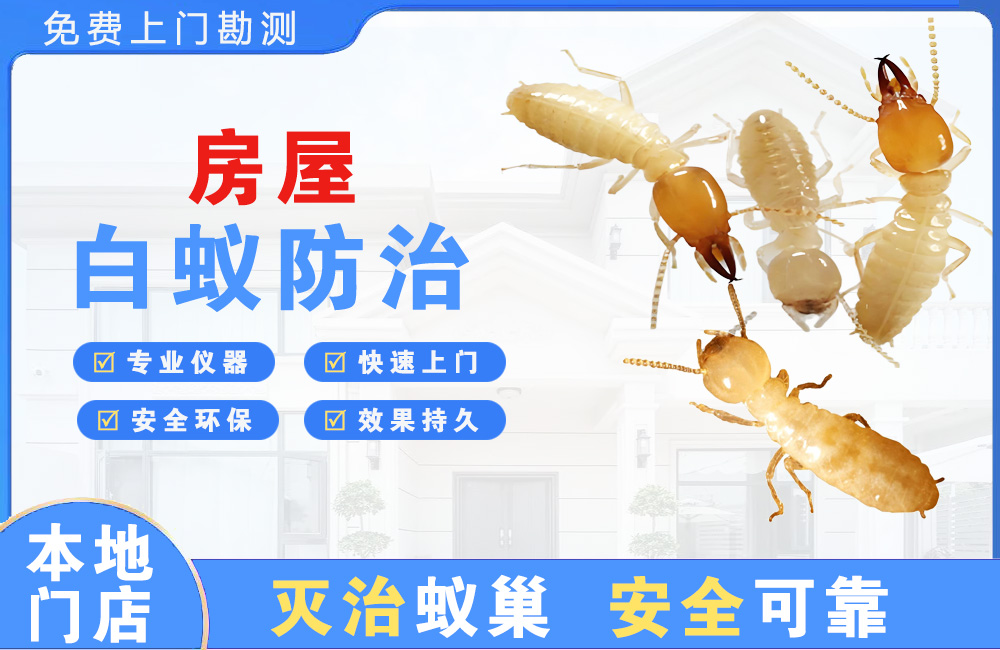 金湖房屋白蚁防治
