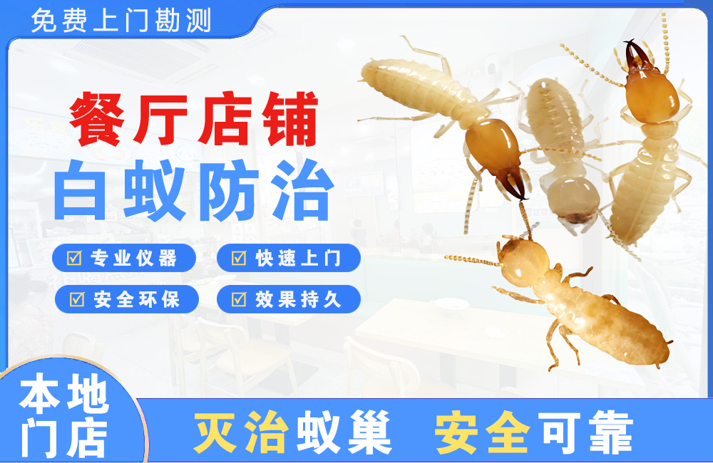 金湖餐厅店铺白蚁防治